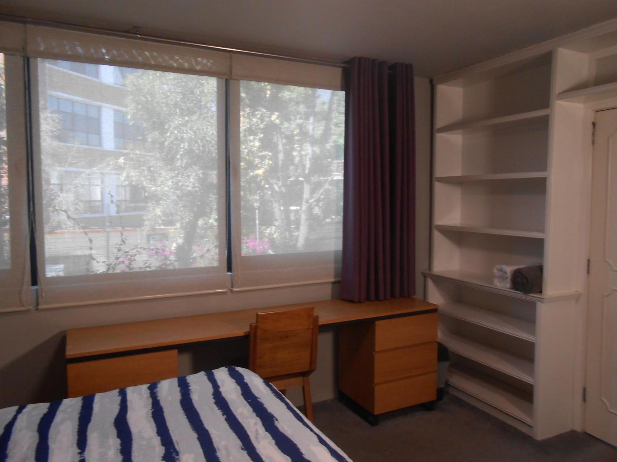 Terraza & Loft San Angel Apartment Mexico City Exterior photo