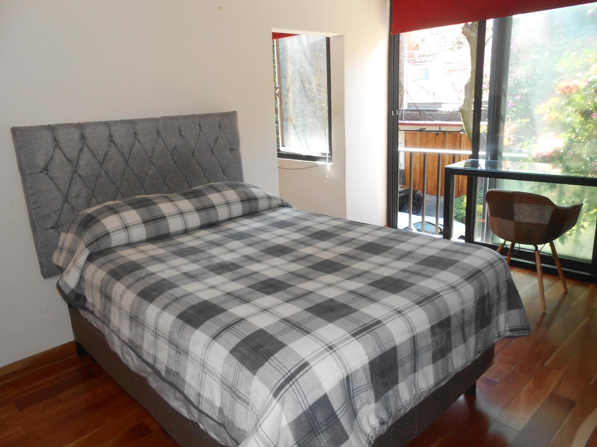 Terraza & Loft San Angel Apartment Mexico City Exterior photo