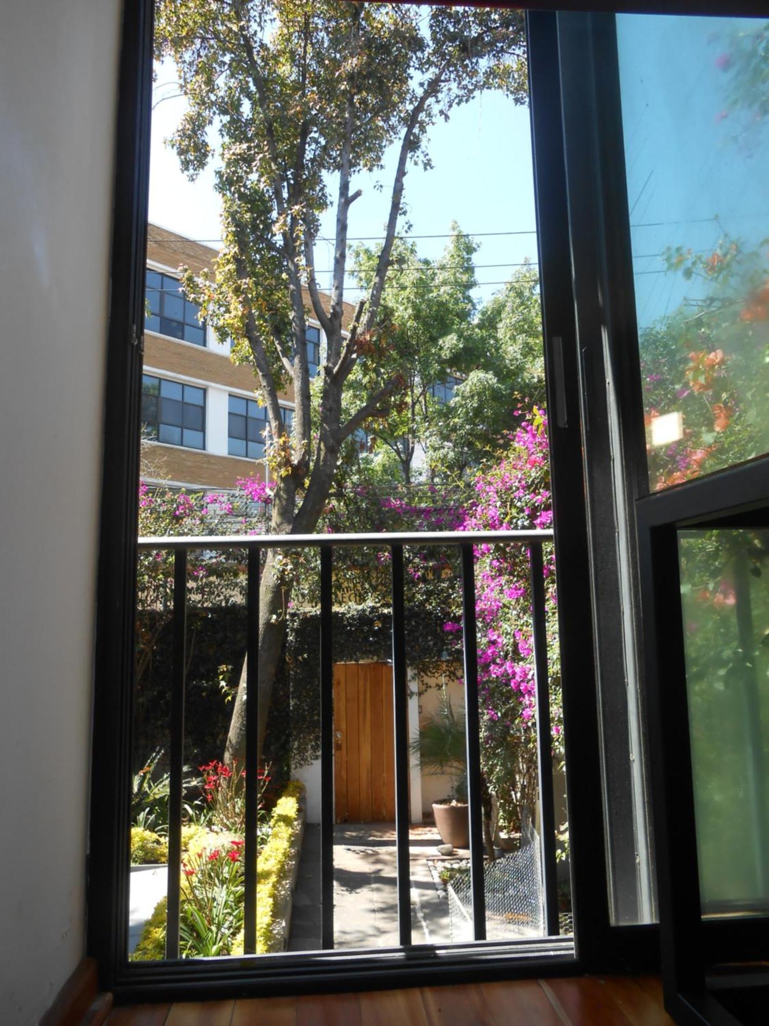 Terraza & Loft San Angel Apartment Mexico City Exterior photo