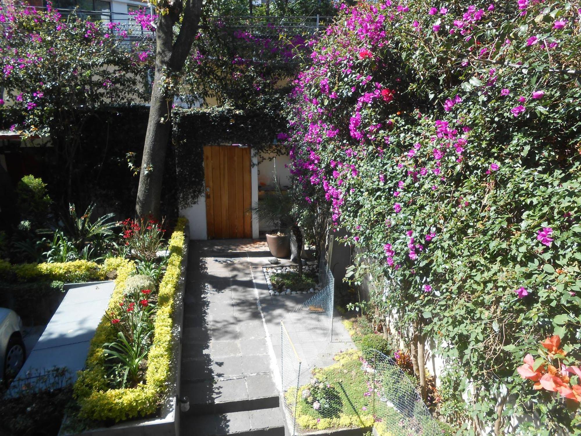 Terraza & Loft San Angel Apartment Mexico City Exterior photo