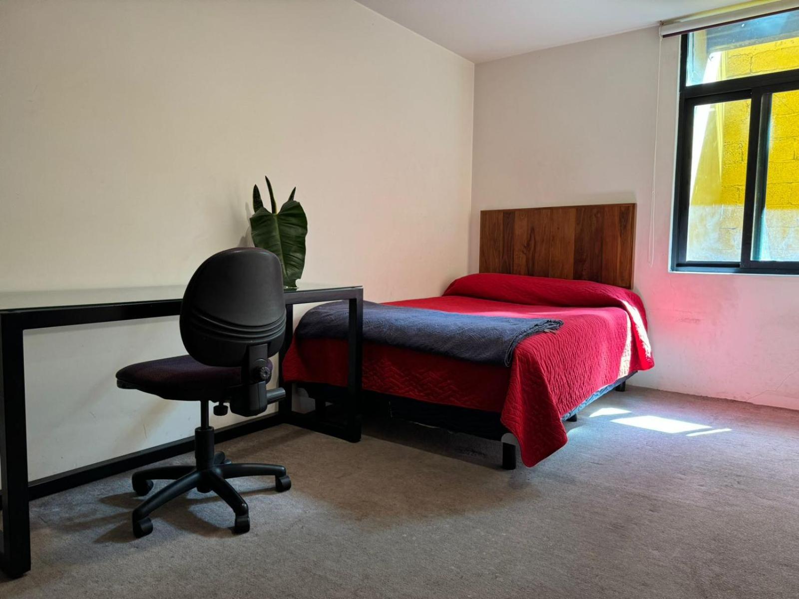 Terraza & Loft San Angel Apartment Mexico City Exterior photo