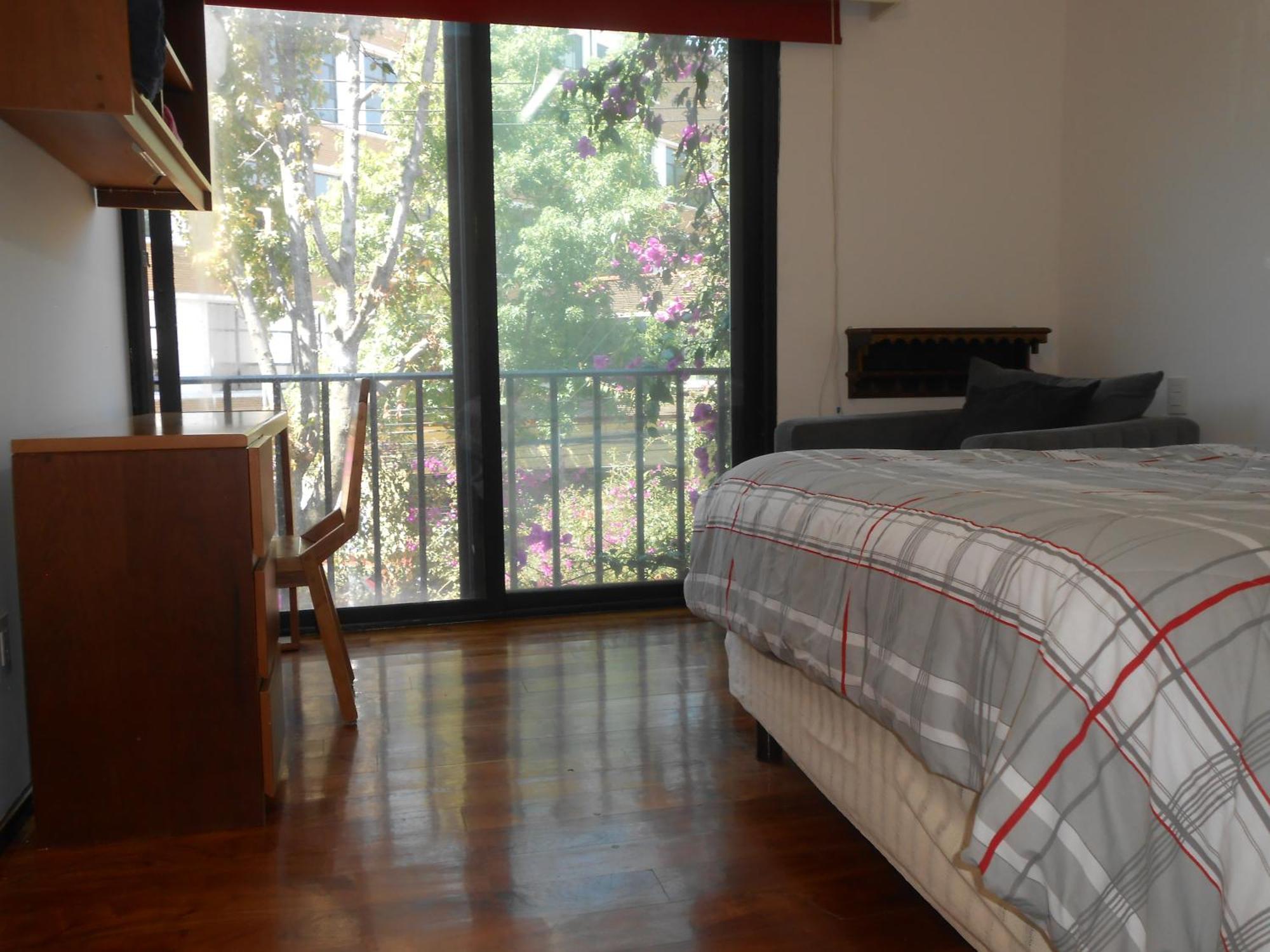 Terraza & Loft San Angel Apartment Mexico City Exterior photo