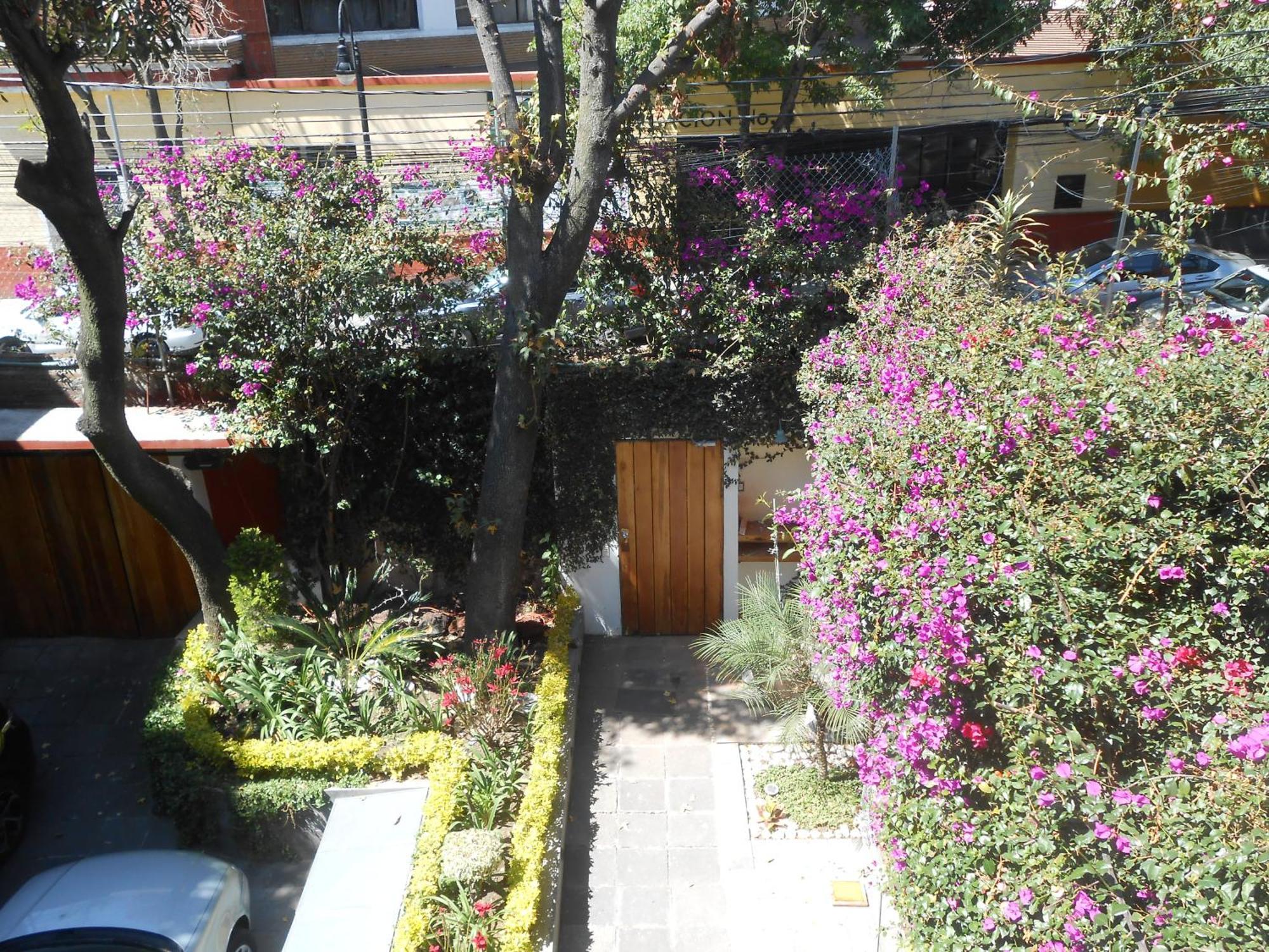 Terraza & Loft San Angel Apartment Mexico City Exterior photo
