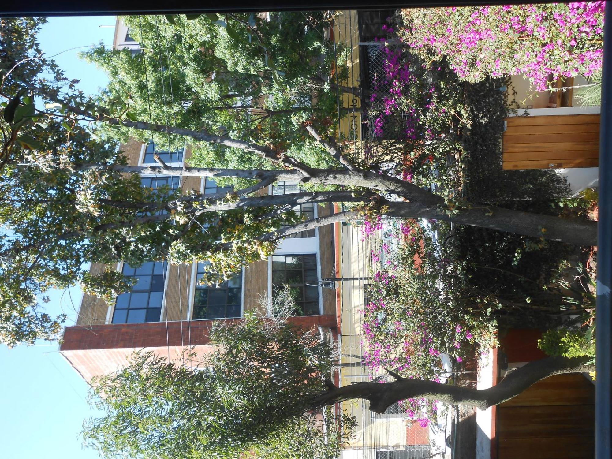 Terraza & Loft San Angel Apartment Mexico City Exterior photo