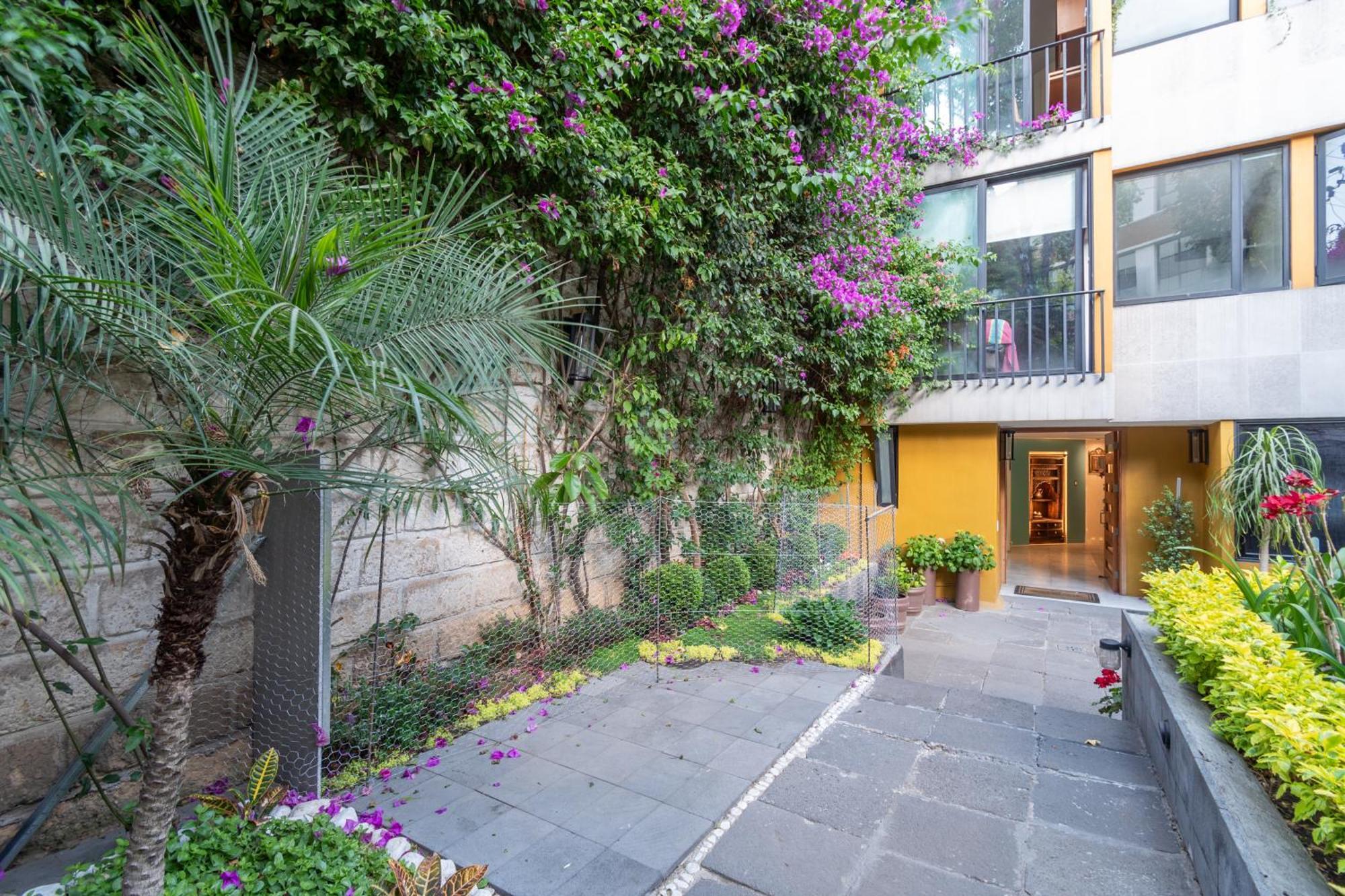 Terraza & Loft San Angel Apartment Mexico City Exterior photo