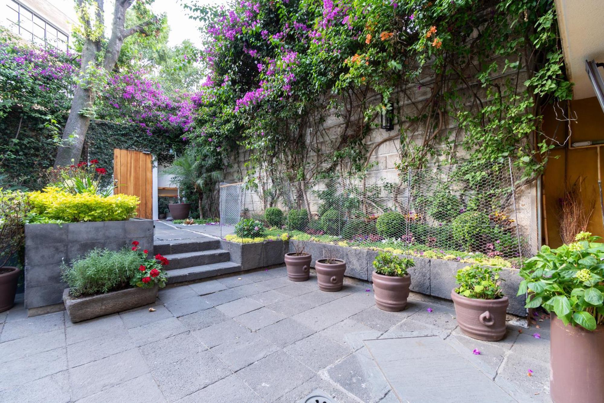 Terraza & Loft San Angel Apartment Mexico City Exterior photo