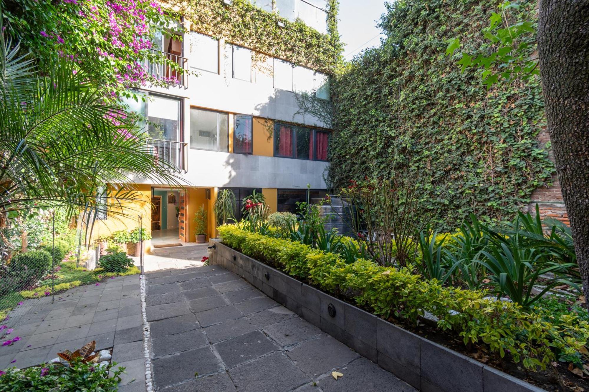 Terraza & Loft San Angel Apartment Mexico City Exterior photo