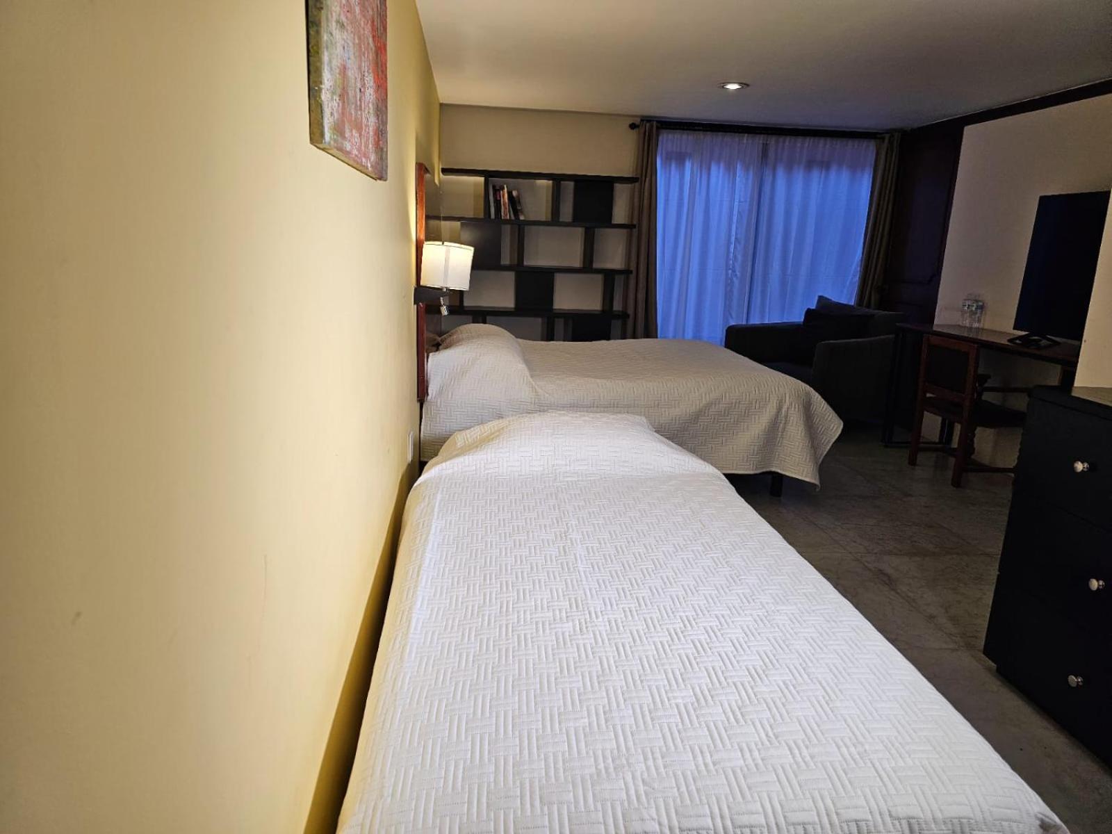 Terraza & Loft San Angel Apartment Mexico City Exterior photo