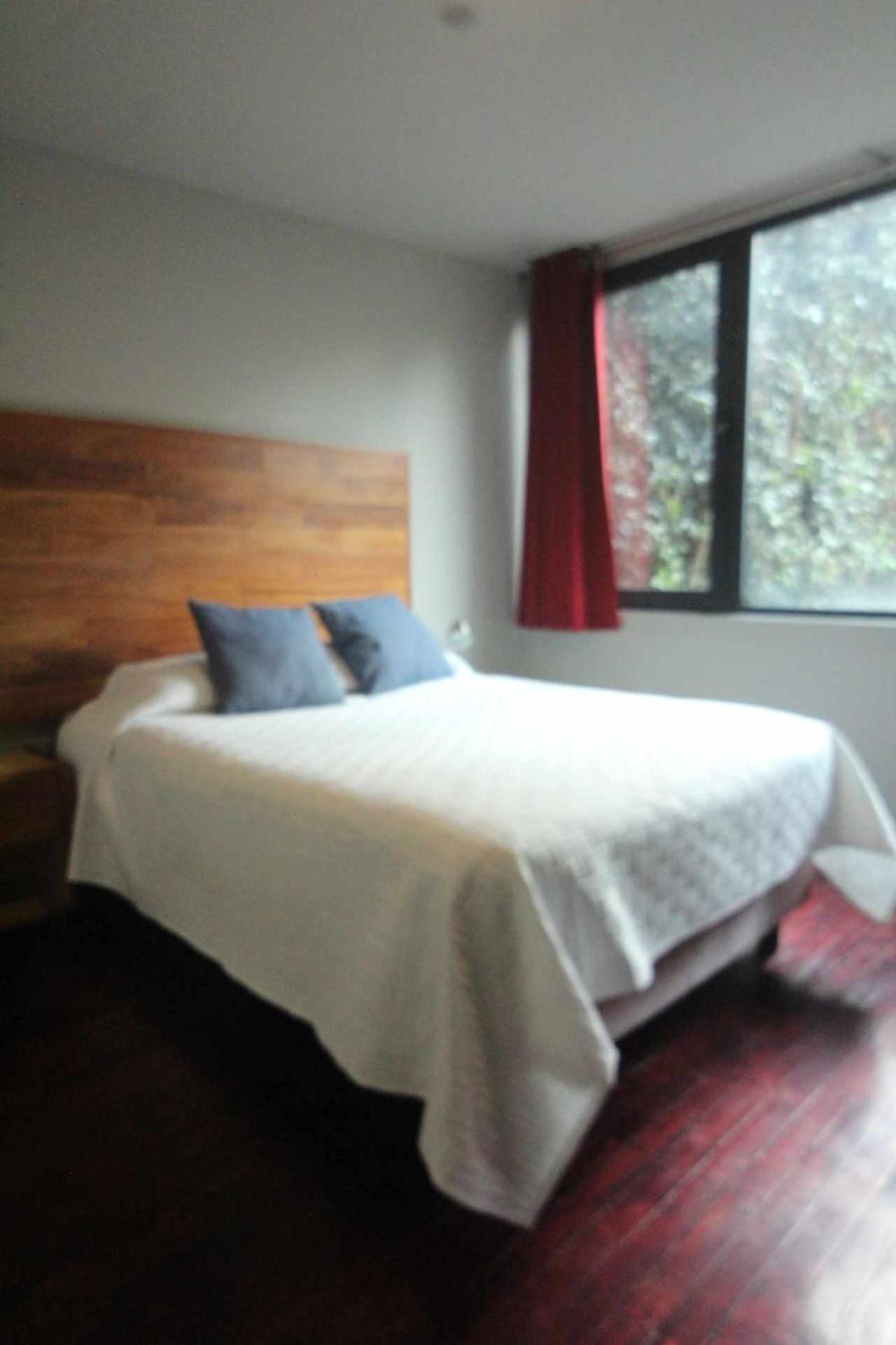 Terraza & Loft San Angel Apartment Mexico City Exterior photo