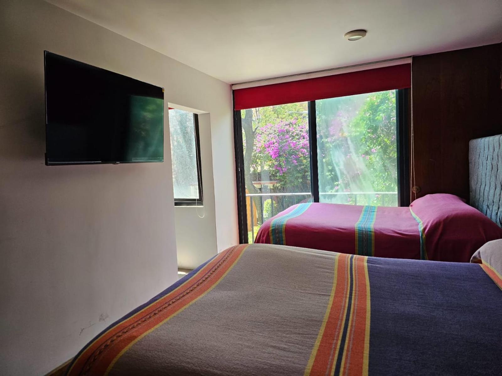 Terraza & Loft San Angel Apartment Mexico City Exterior photo